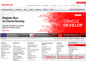 企业在线资源与软件开发整合指南 从公司目录到专业服务